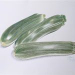 Courgettes. C/P on paper.